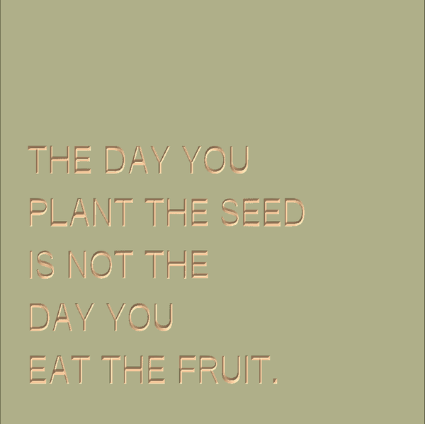 the day you plant the seed quote meaning The day you plant the seed is not the day you eat the fruit – SPOKEN