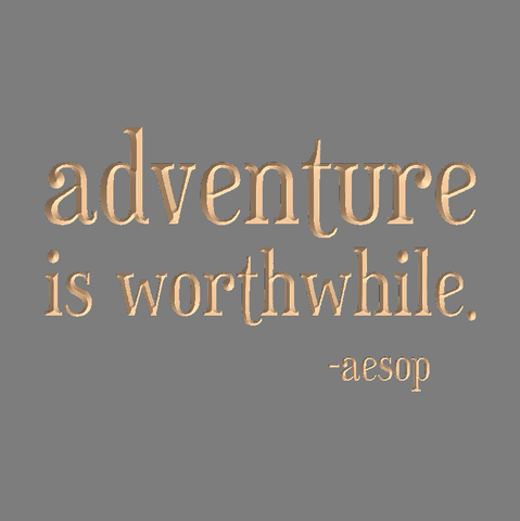 Adventure is worthwhile - Aesop