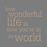 How wonderful life is now you're in the world
