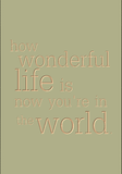 how wonderful life is now you're in the world.