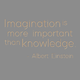 Imagination is more important than knowledge - Albert Einstein