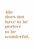 Life does not have to be perfect to be wonderful