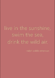 live in the sunshine, swim the sea, drink the wild air. -ralph waldo emerson
