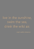 live in the sunshine, swim the sea, drink the wild air. -ralph waldo emerson