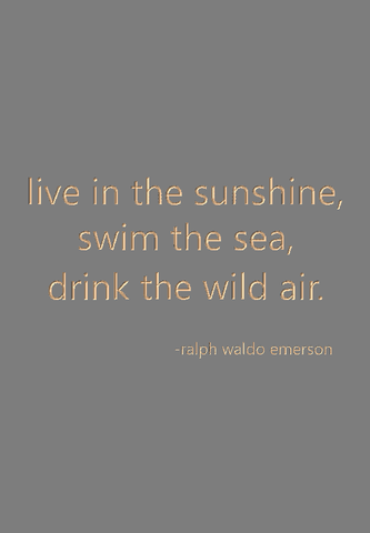 live in the sunshine, swim the sea, drink the wild air. -ralph waldo emerson