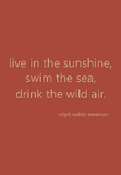 live in the sunshine, swim the sea, drink the wild air. -ralph waldo emerson
