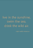 live in the sunshine, swim the sea, drink the wild air. -ralph waldo emerson