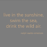 live in the sunshine, swim the sea, drink the wild air. -ralph waldo emerson
