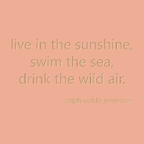 live in the sunshine, swim the sea, drink the wild air. -ralph waldo emerson