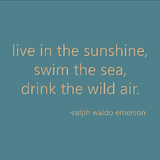 live in the sunshine, swim the sea, drink the wild air. -ralph waldo emerson