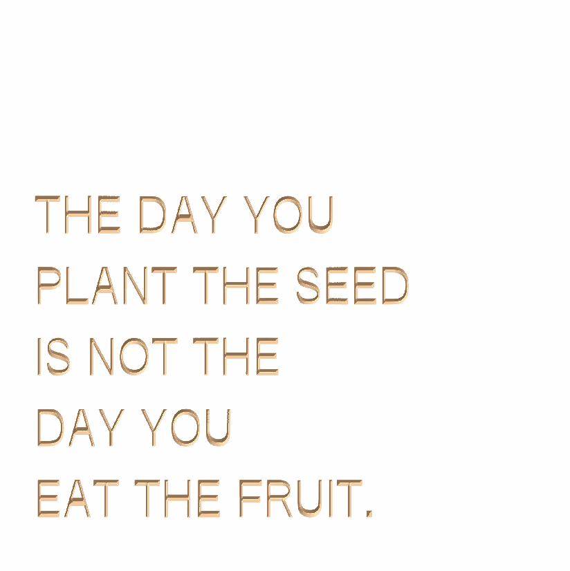 the day you plant the seed quote author The day you plant the seed is not the day you eat the fruit – SPOKEN
