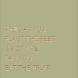 the day you plant the seed quote author The day you plant the seed is not the day you eat the fruit – SPOKEN