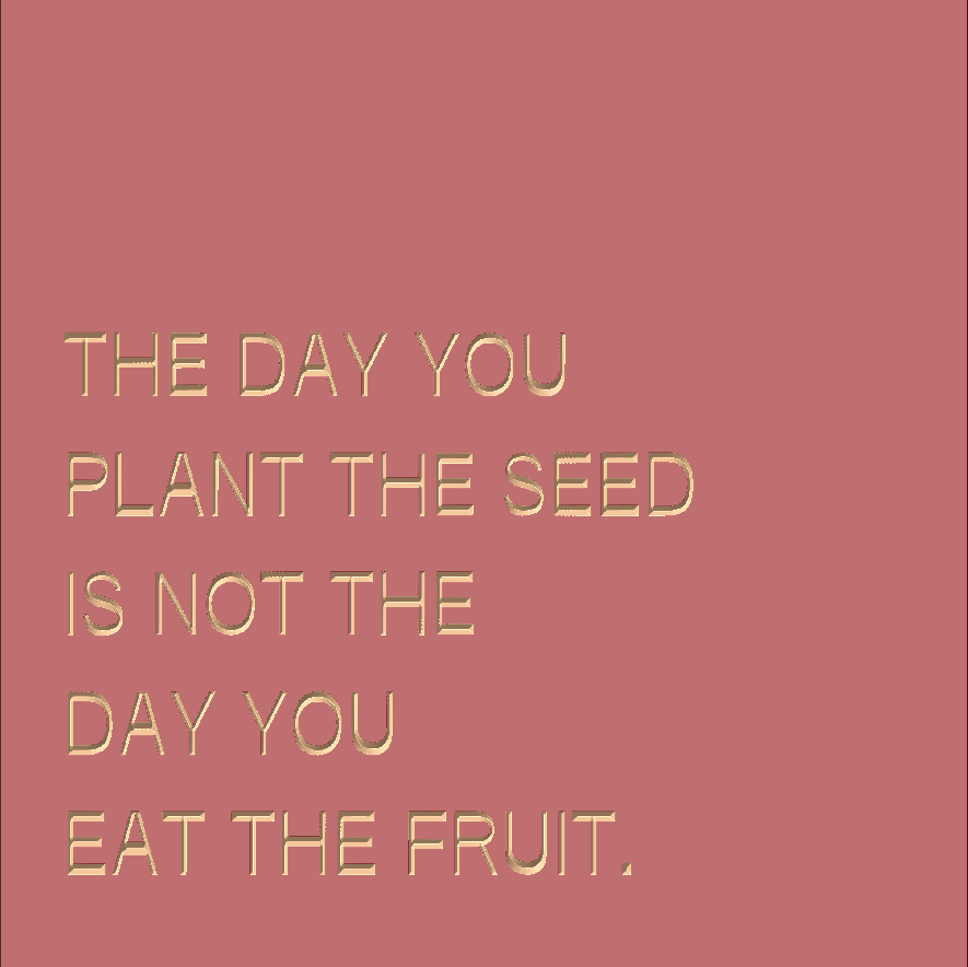 the day you plant the seed is not The day you plant the seed is not the day you eat the fruit – SPOKEN