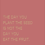 The day you plant the seed is not the day you eat the fruit