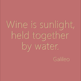 Wine is sunlight, held together by water - Galileo