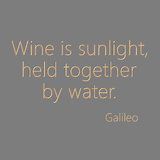 Wine is sunlight, held together by water - Galileo