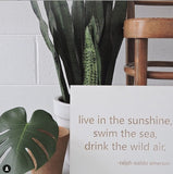 live in the sunshine, swim the sea, drink the wild air. -ralph waldo emerson