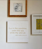 live in the sunshine, swim the sea, drink the wild air. -ralph waldo emerson